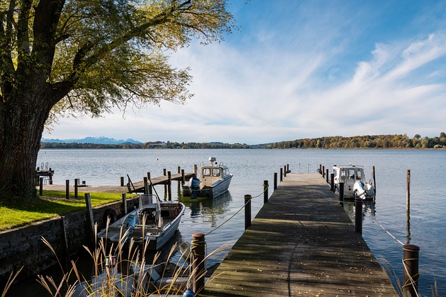 們更加認同 們更加認同